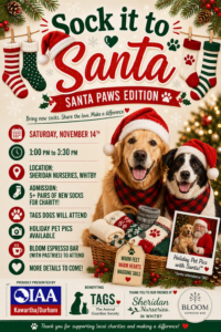 Sock It To Santa Flyer